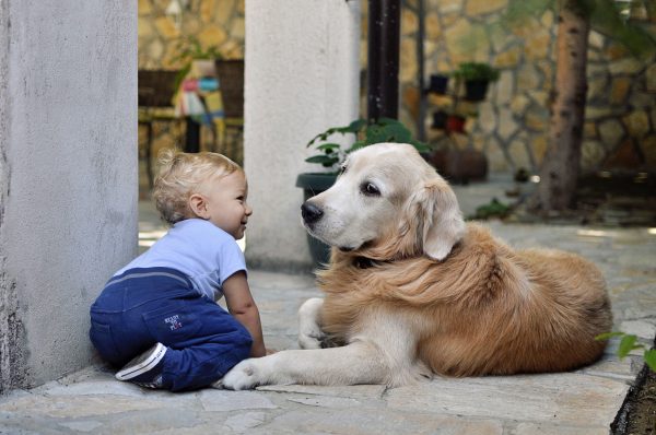 5 Tips for involving kids in your pet’s upkeep