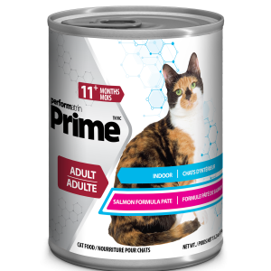 Saumon Pate for Cats