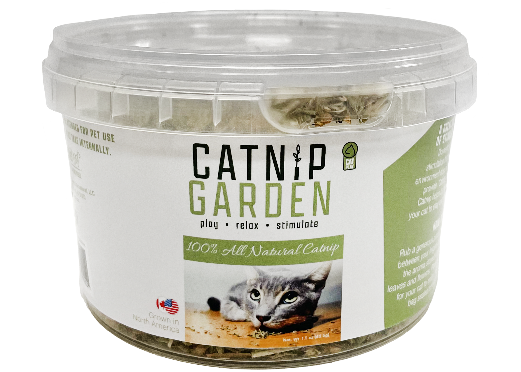 Catnip garden® herbe à chat naturelle en pot — Boutiques d'animaux Chico