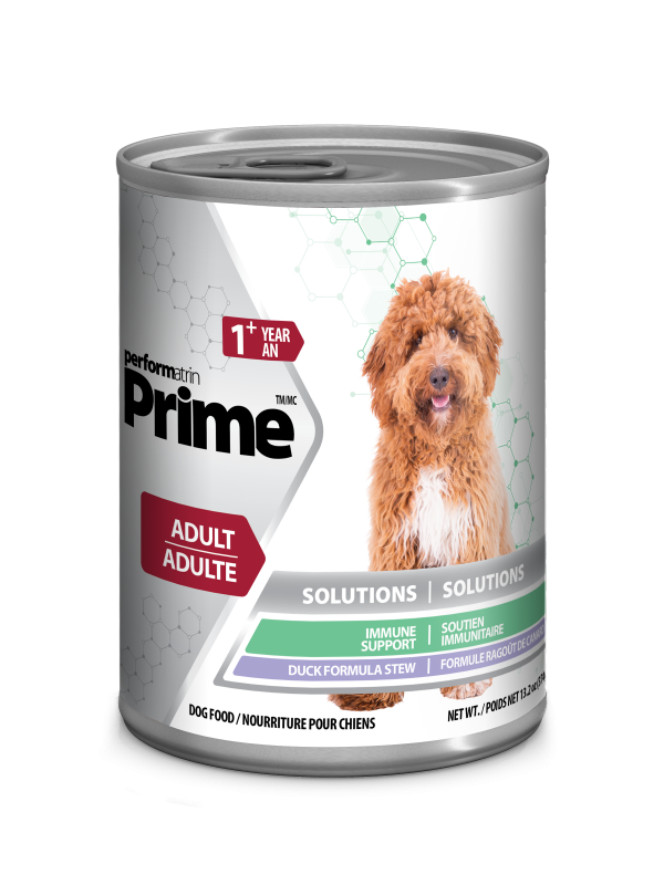 immune support formula for dogs
