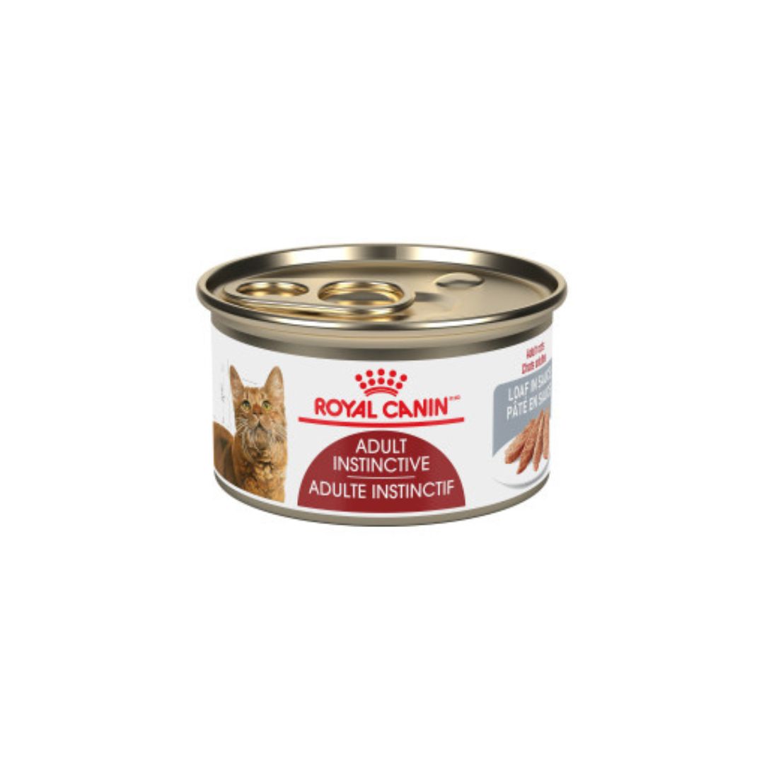 Nourriture Royal Canin pour Chaton — Boutique d'animaux Chico