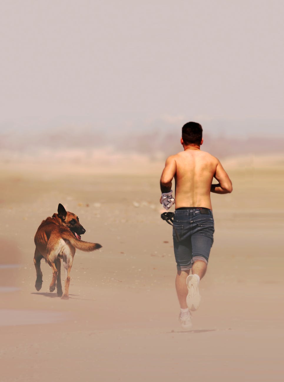 unrecognizable male athlete running near dog on sandy terrain