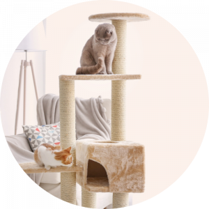 Cat trees & Scratching posts